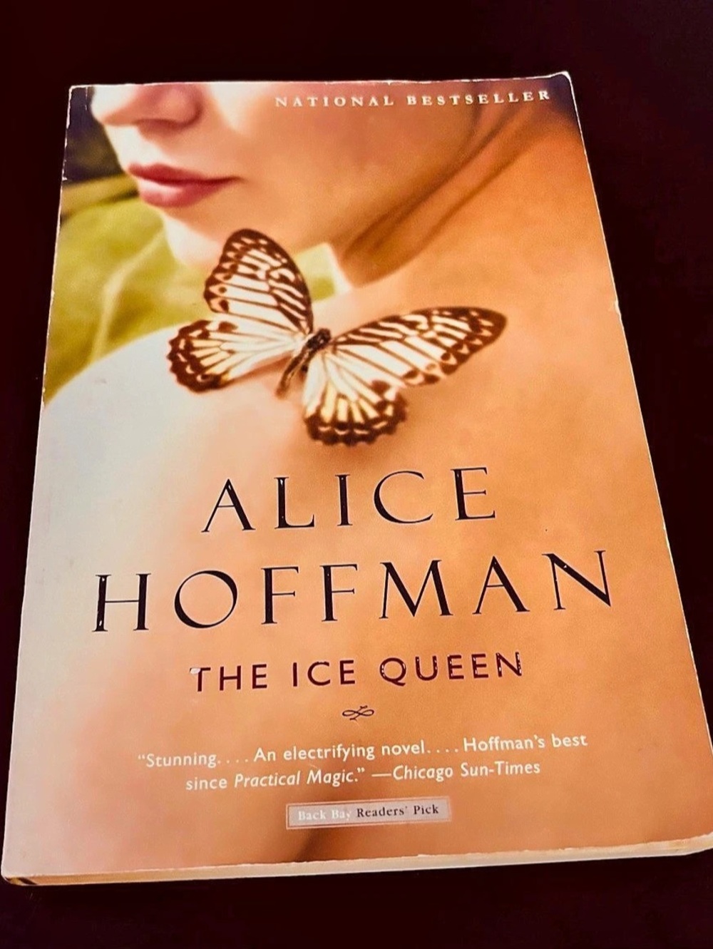 The Ice Queen: A Novel by Alice Hoffman Paperback Novel